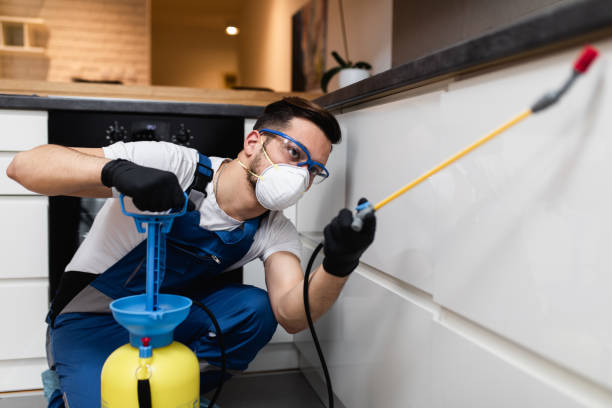 Best Ant Control Services  in Commerce, OK