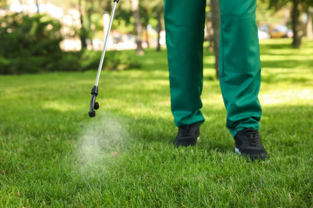 Best Bed Bug Extermination  in Commerce, OK