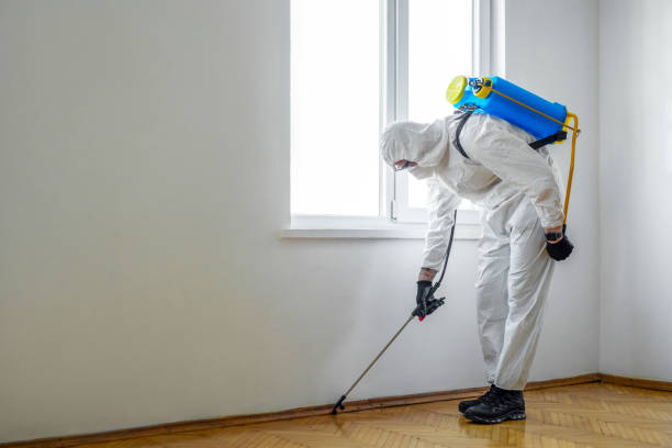 Best Wildlife Control Services  in Commerce, OK