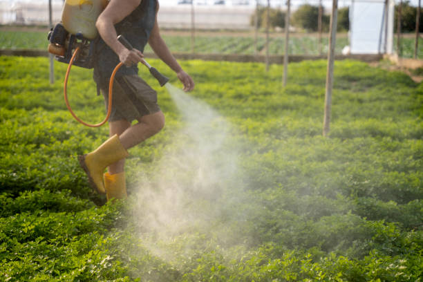 Best Pest Inspection Near Me  in Commerce, OK