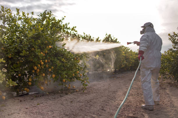 Best Pest Removal Services  in Commerce, OK