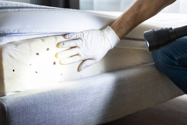 Best Pest Control for Restaurants  in Commerce, OK