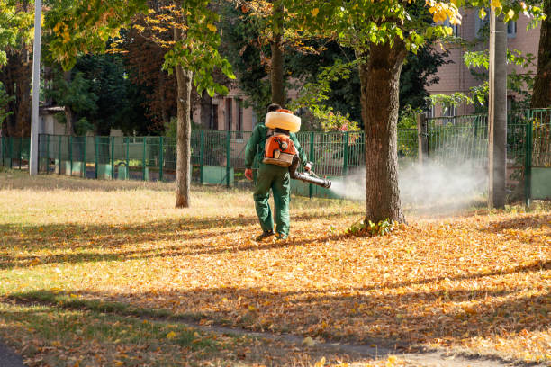 Best Termite Control Services  in Commerce, OK