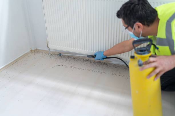 Best Flea Control Services  in Commerce, OK