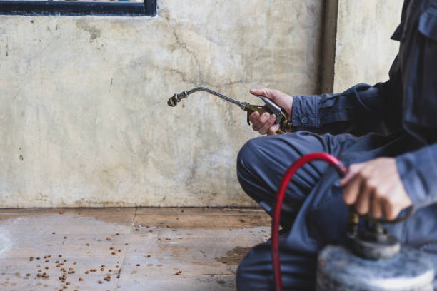 Best Pest Prevention Services  in Commerce, OK