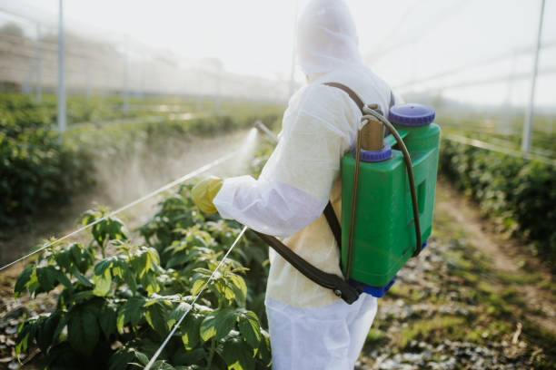 Best Flea Control Services  in Commerce, OK